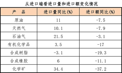 傅向升報告從進口段看進口量.jpg